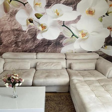 Sunkissed Centre Apartment Vlore Bagian luar foto